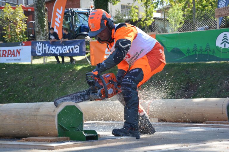 svetovno-gozdarsko-prvenstvo