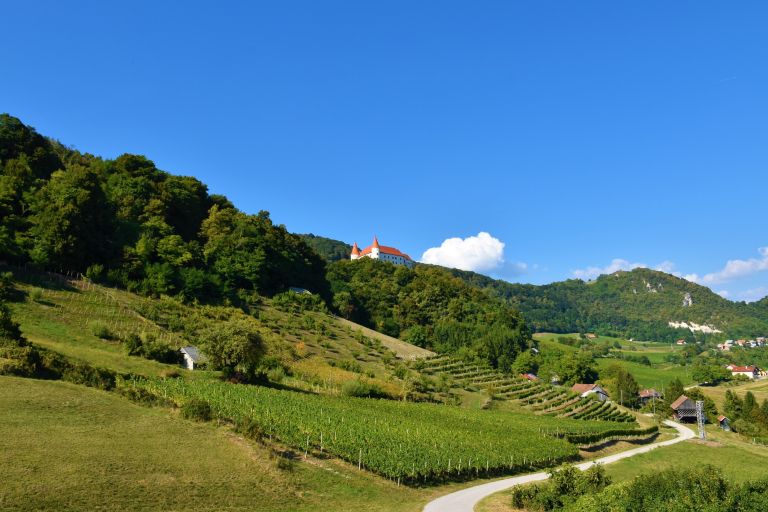 bizeljsko