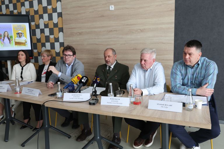 marcni-sejmi, celjski-sejem