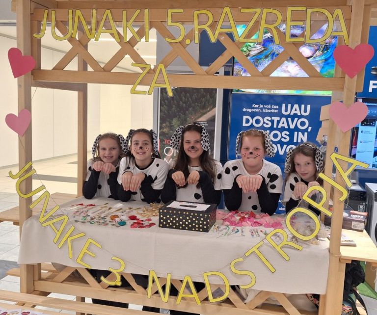 os-salovci, razredni-dobrodelni-projekt