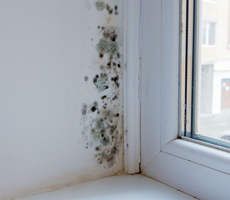 prezracevanje-doma, vlaga-v-prostoru, plesen