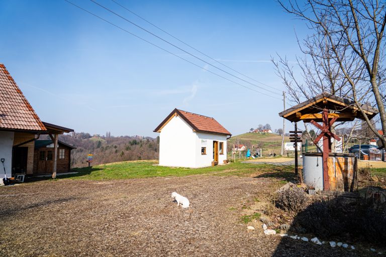 mohanji-slovenija, mohanji, zavod, meditacije, tempelj, sveta-ana