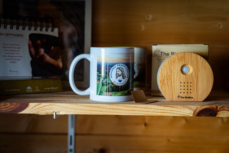 mohanji-slovenija, mohanji, zavod, meditacije, tempelj, sveta-ana