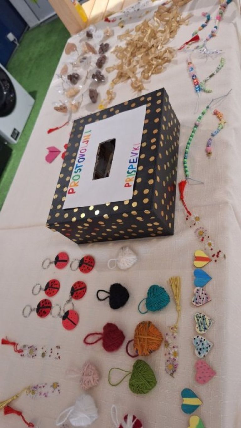 os-salovci, razredni-dobrodelni-projekt