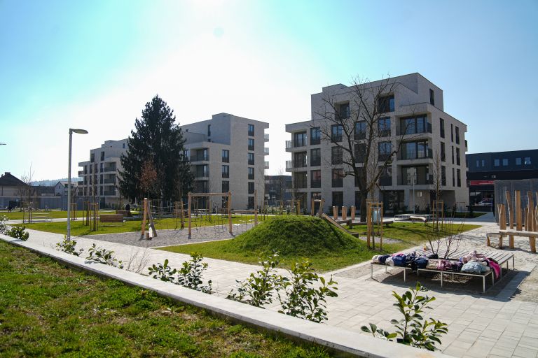 1772709959-dsc02111-1772709918007.jpg