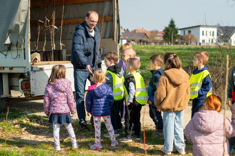 beltinci, sajenje-medovitih-dreves