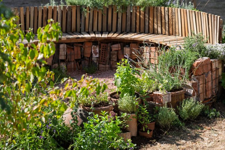 klopca v sodobnem vrtu