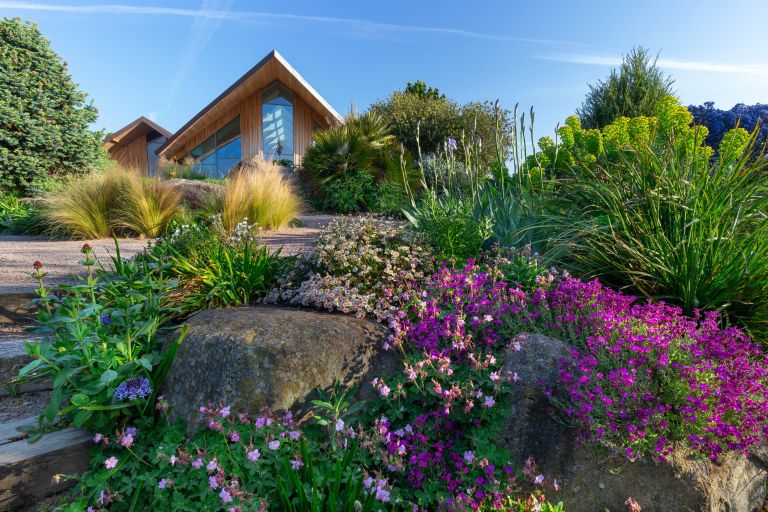 sodobna zasaditev vrta