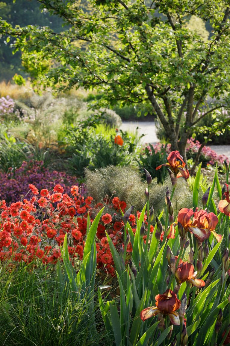 sodobna zasaditev pomlad