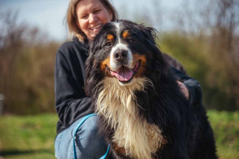 nevenka-zrim, zavetišče-mala-hiša, psi, pes
