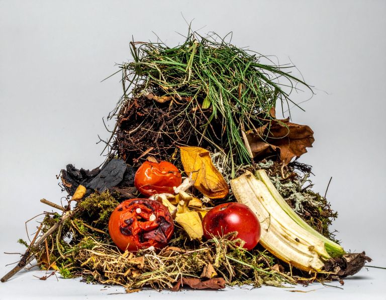 bio odpadki, kuhinja, hrana