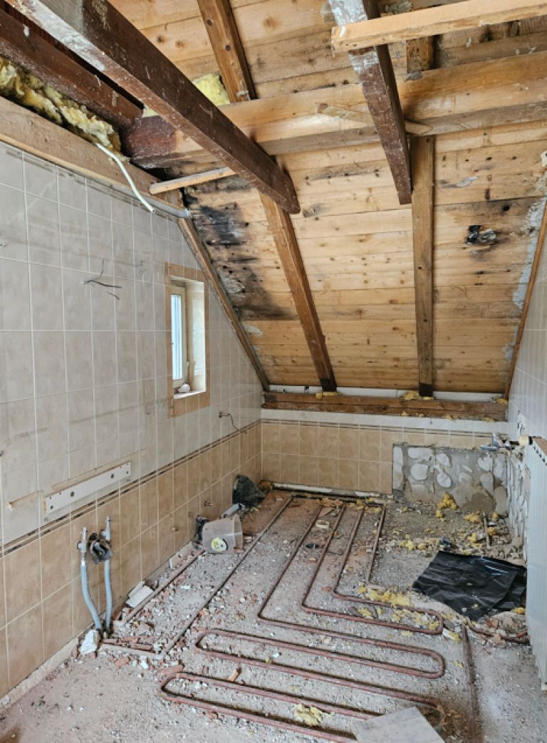 martina-svab-prenova, martina-svab