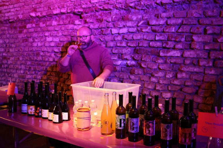 no-border-wine-festival, lendava, festival-vina