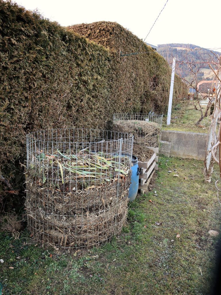 Miša1.jpg