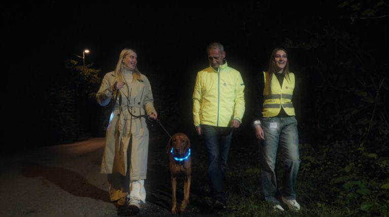 pesci_vidnost_AVP