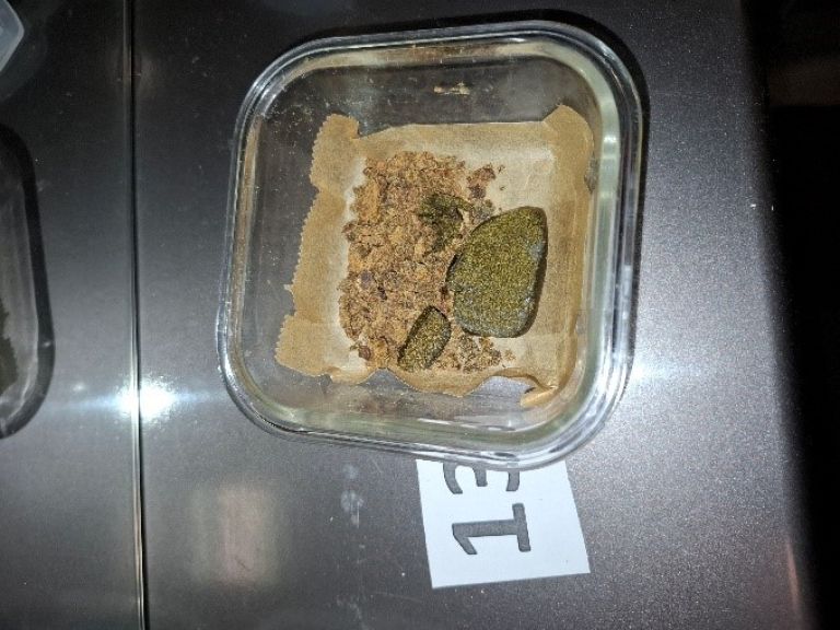 konoplja, joint, zaseg