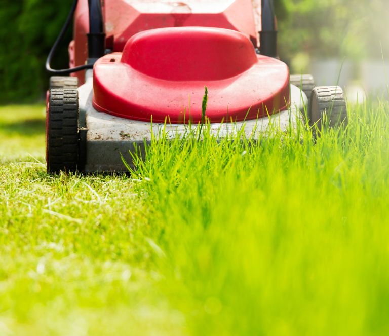 kosnja-trave, kosilnica