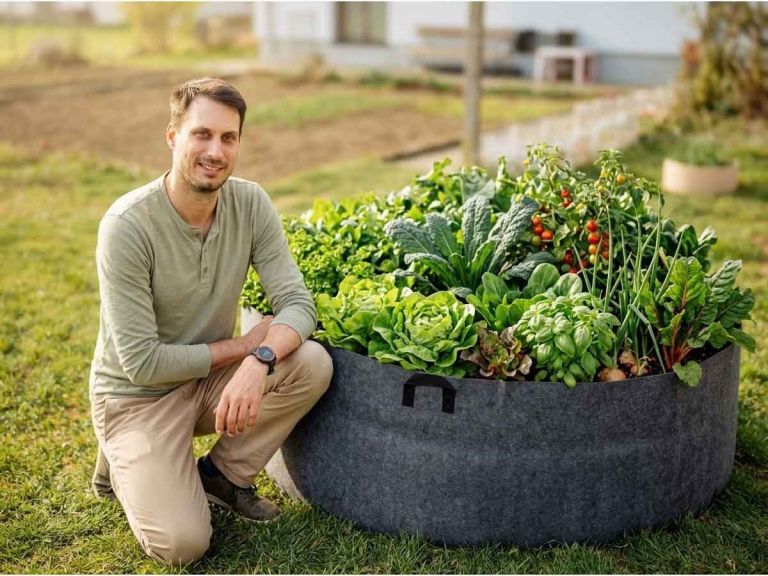 visoke grede, organski način