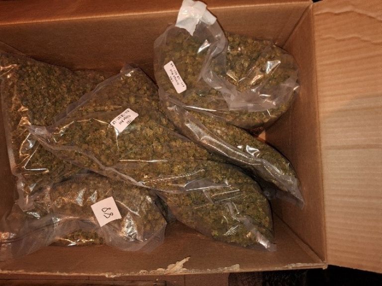 konoplja, joint, zaseg