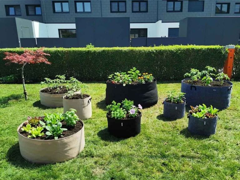 visoke grede, organski način