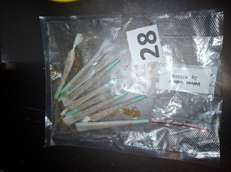 konoplja, joint, zaseg