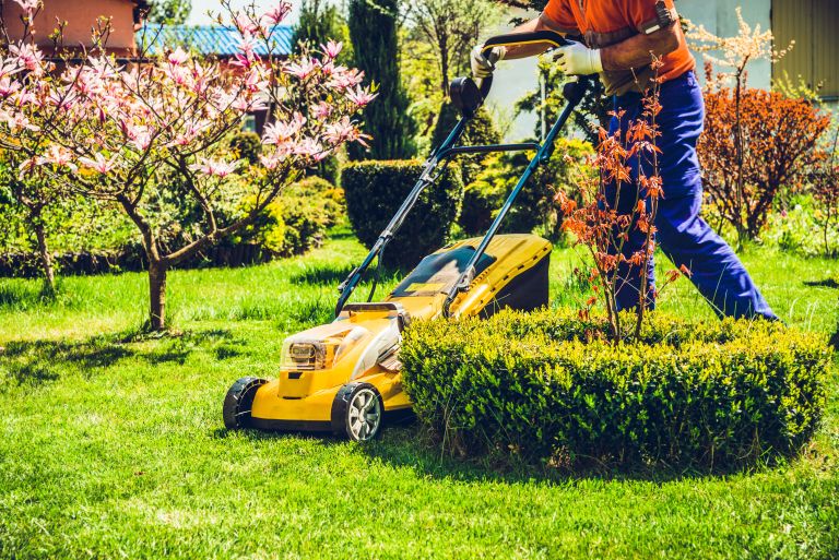 kosnja-trave, kosilnica