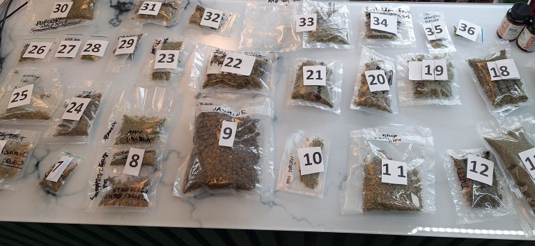 konoplja, joint, zaseg