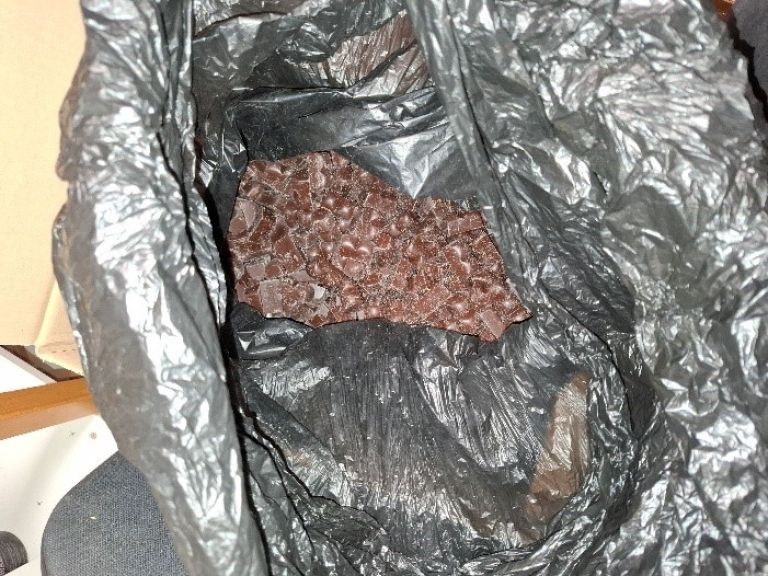 konoplja, joint, zaseg