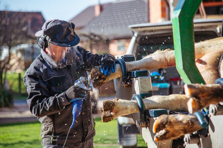 korekcija-parkljev-kokol, krave, krava, kravice, obrezovanje-parkljev