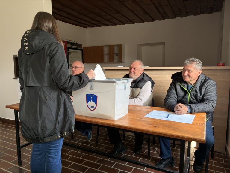 volitve, državnozborske-volitve