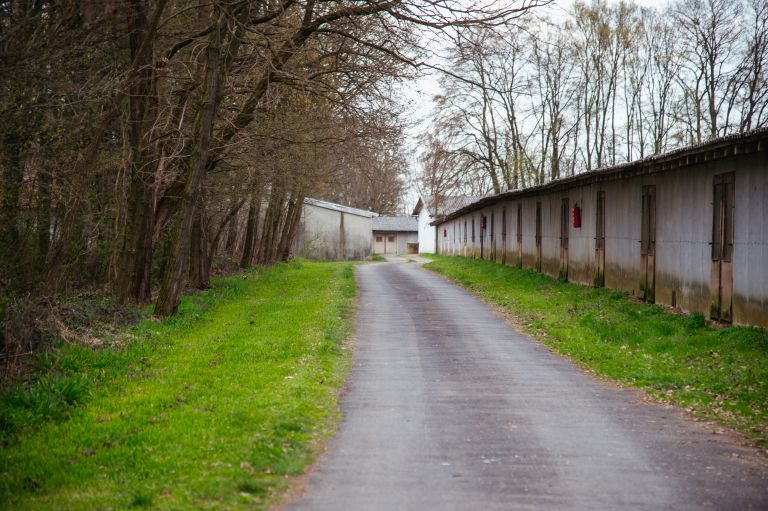 fazanerija-ganačani-beltinci, nova-lokacija-romov, vzorčna-romska-vas