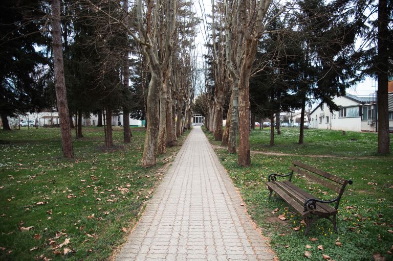 simbolična, beltinci, lekarna, zdravstveni-dom-beltinci