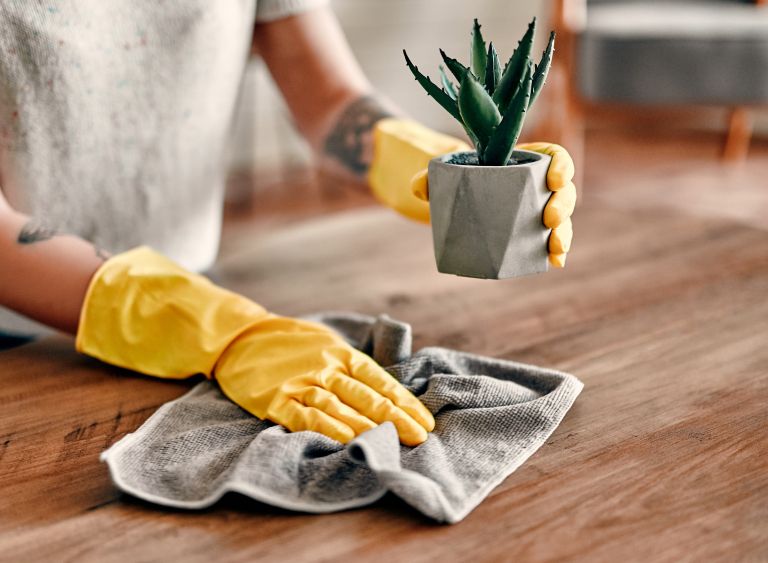 brisanje-prahu, ciscenje-stanovanja