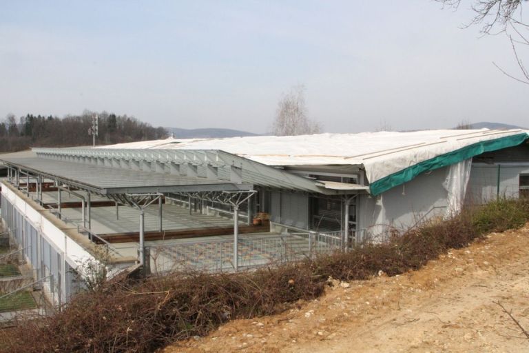 oš drska marec 26.jpeg