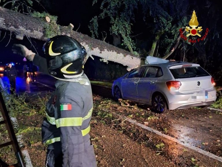 Italija podrto drevo gasilci