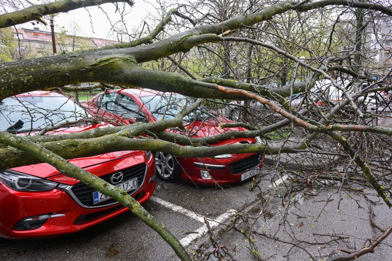 veter drevo avto padlo na drevo