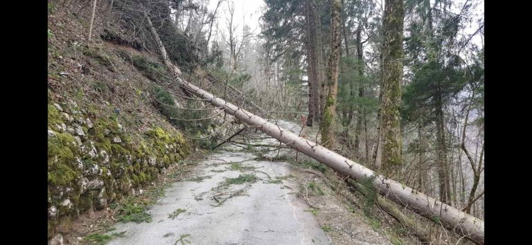 Vetrolom marec 2026 ZGS Jesenice A Marencic.jpg