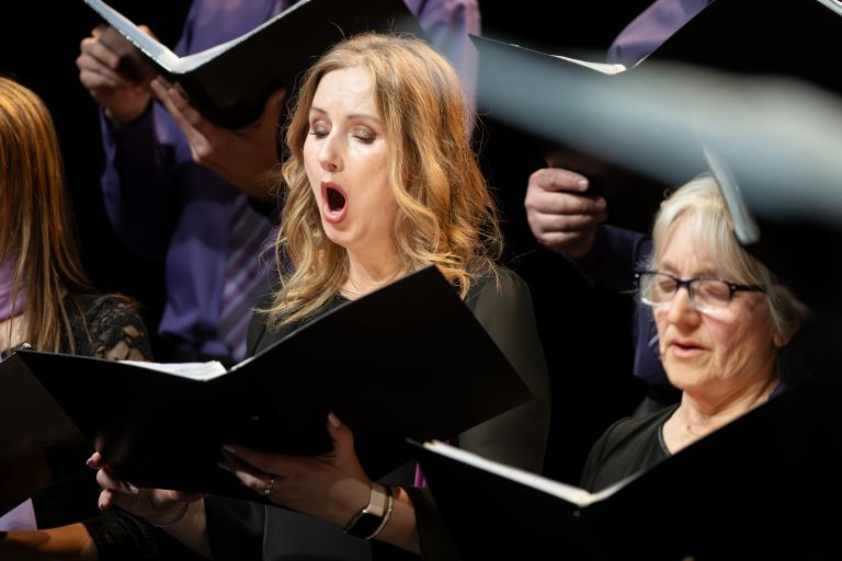 mepz-stefan-kovac, glasovi-skupnosti, koncert, mepz-stefana-kovaca, mepz