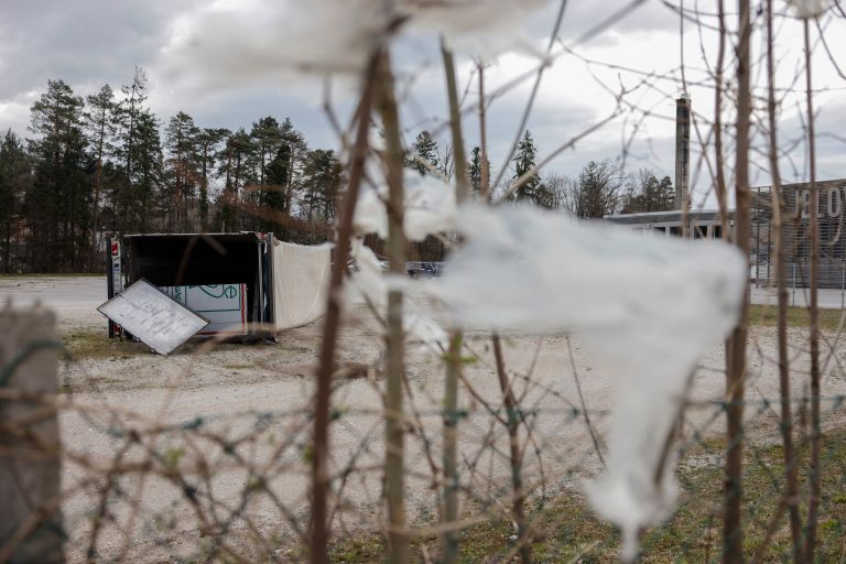 DOG20260327LD-033 (1).jpg