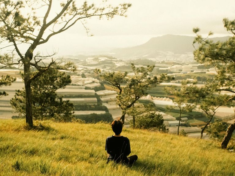 čuječnost na travniku