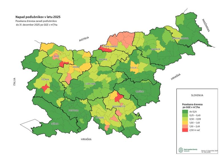 zgs, zavod-za-gozdove-slovenije, podlubnik, lubadarke