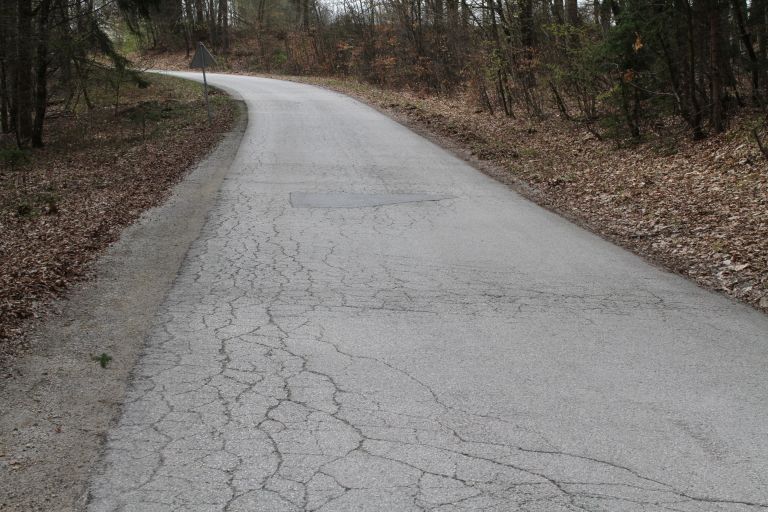 Cesta Trebnje-Repče.JPG