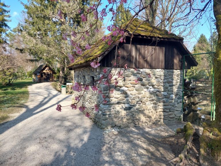 mozirski-gaj, spomladanska-razstava, cvetje