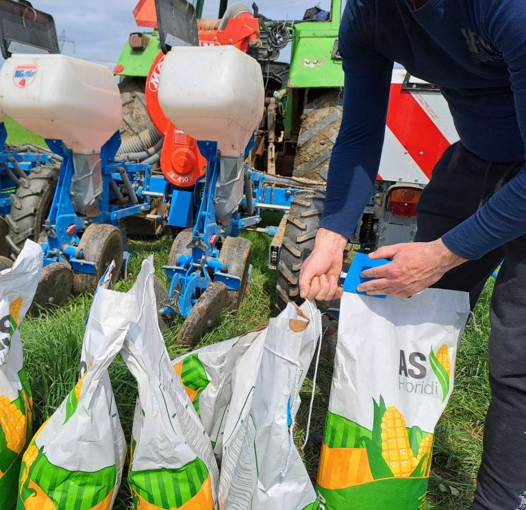 mv-nakup semena tujina.jpg