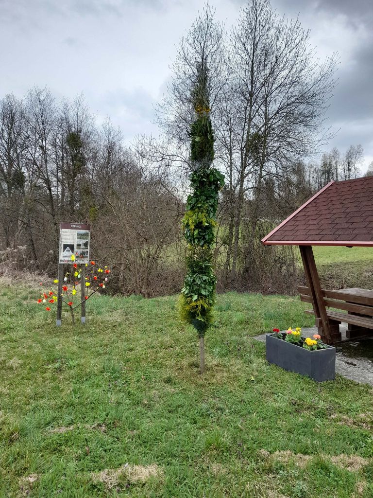 td-cep-cepinci, cepinci, butara, cvetna-nedelja