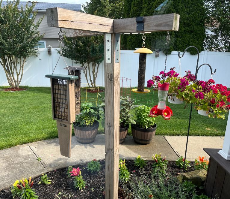 vrt, ptice-na-vrtu, zgoscenka