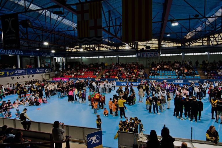 hokejski-klub-dolenjske-toplice