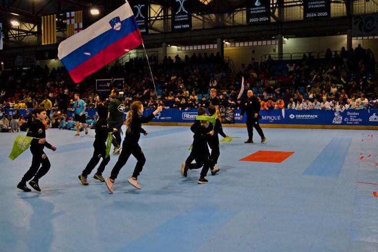 hokejski-klub-dolenjske-toplice