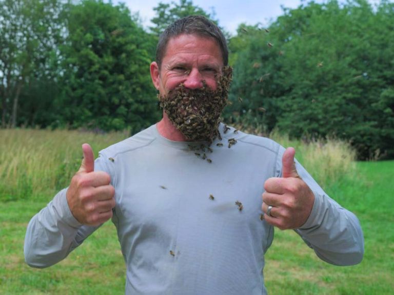 čebele, skrivno življenje, narava