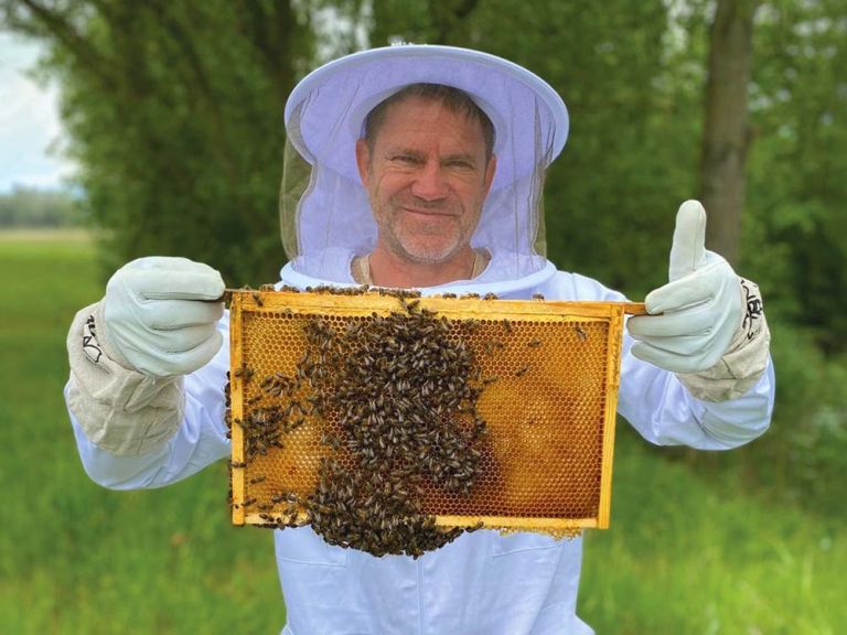 čebele, skrivno življenje, narava